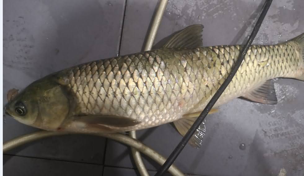 5da96798b0b92.jpg 5da96798b0b92.jpg