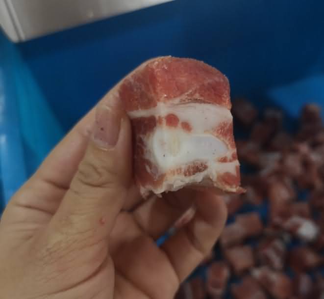 5dae60a374058.jpg 5dae60a374058.jpg