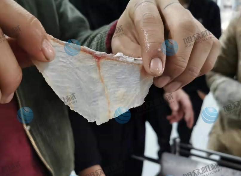 魚片機，片魚片機，片魚機，斜切魚片機，全自動魚片機