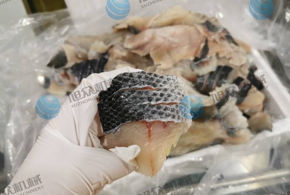 魚片機(jī),片魚片機(jī),全自動魚片機(jī),商用片魚片機(jī)器,切魚片機(jī) 魚片機(jī),片魚片機(jī),全自動魚片機(jī),商用片魚片機(jī)器,切魚片機(jī)