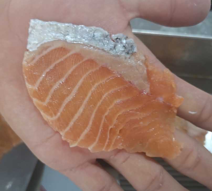 魚片機，自動切魚片機，旭眾魚片機，多功能切魚片機，魚片機多少錢