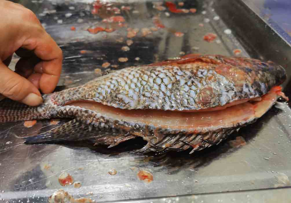 5e8d619c934e2.jpg 5e8d619c934e2.jpg