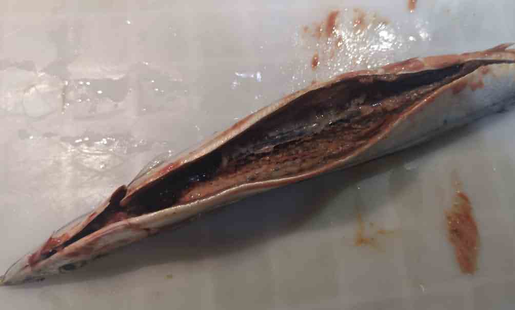 5ea12c89481b8.jpg 5ea12c89481b8.jpg