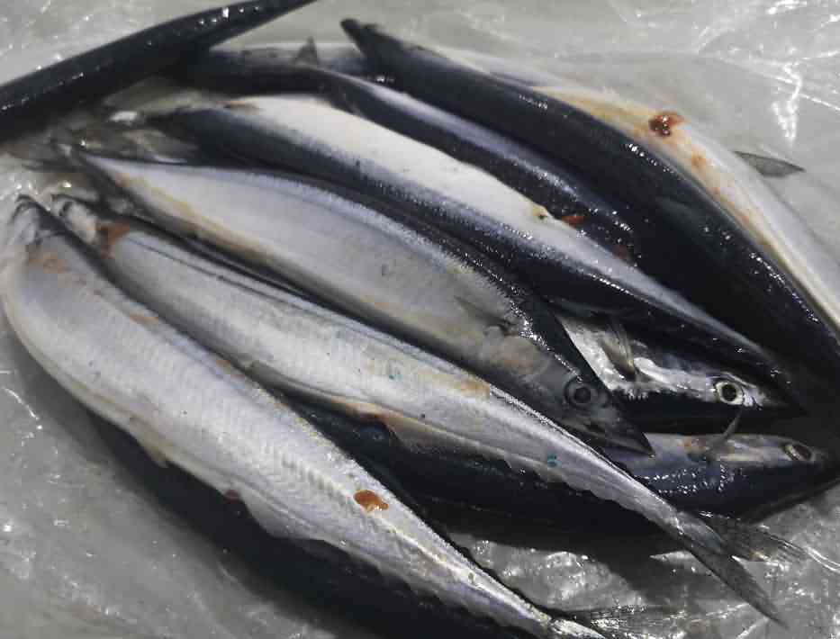 5ea12c8974764.jpg 5ea12c8974764.jpg