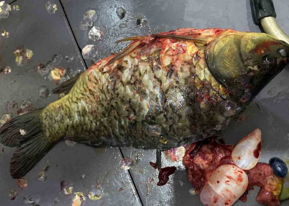 5f17afe91e4a9.jpg 5f17afe91e4a9.jpg