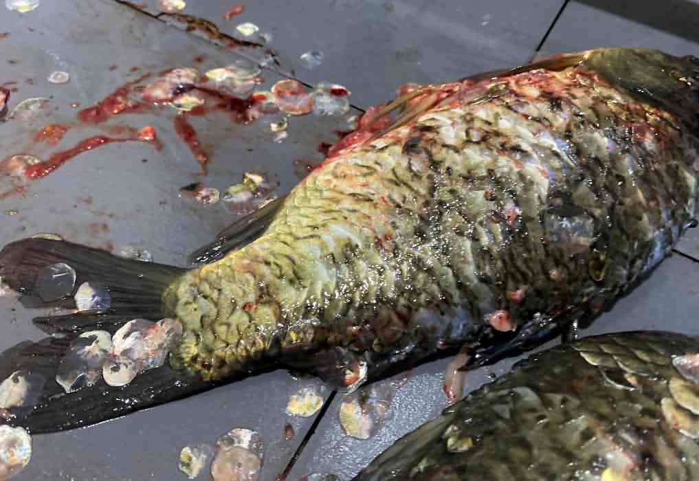 5f17afe98a3be.jpg 5f17afe98a3be.jpg