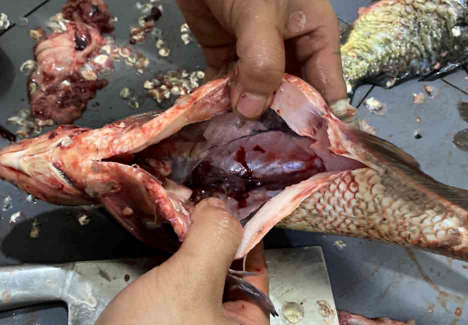 5f17afe9c1f5d.jpg 5f17afe9c1f5d.jpg