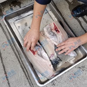 全自動(dòng)切魚(yú)片，去魚(yú)骨機(jī)