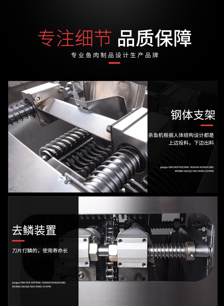 艾博馳ABCH-17開背去鱗殺魚機4