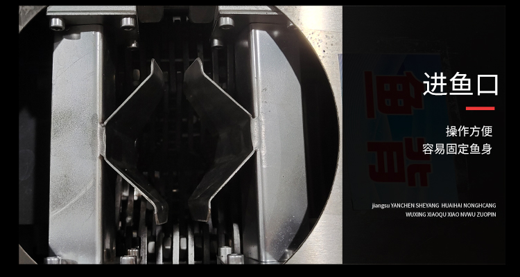 艾博馳ABCH-17開背去鱗殺魚機6