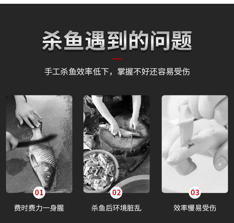 艾博馳ABCH-16D開肚/開背殺魚機4