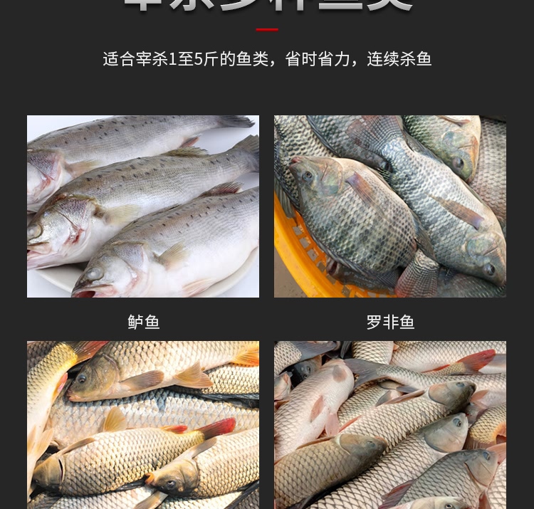 艾博馳ABCH-16D開肚/開背殺魚機8