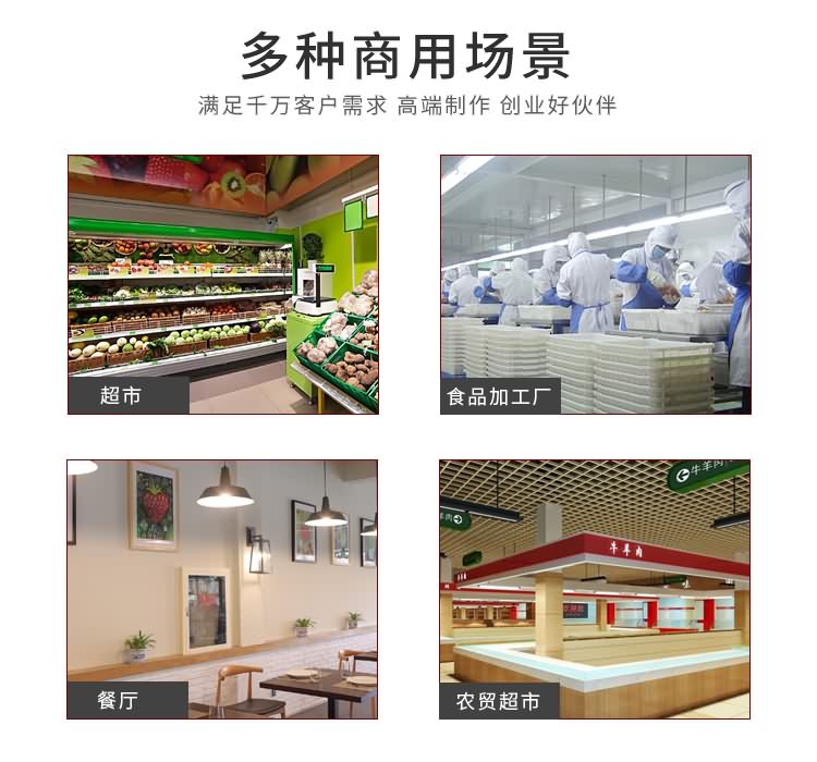 艾博馳ABCH-13禽肉類剁塊機10