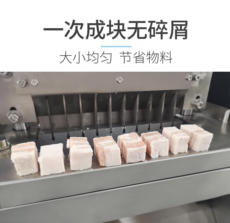 艾博馳ABCH-30魚禽類剁塊機5