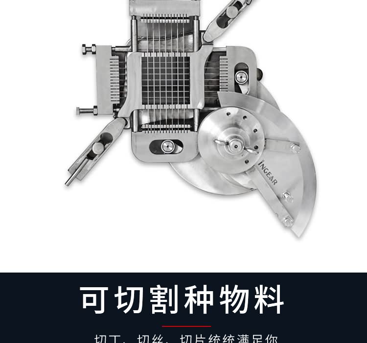 艾博馳QDJ切丁機(jī)3