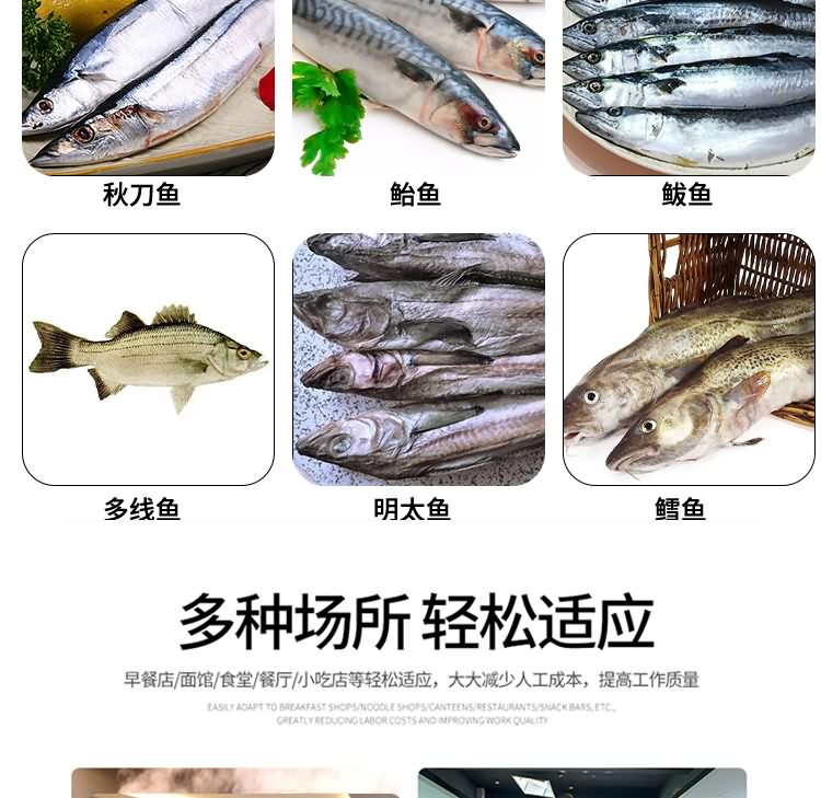 艾博馳ABCH-QT68去魚(yú)頭機(jī)10