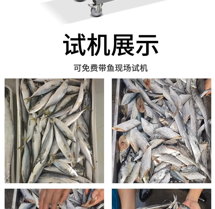 艾博馳ABCH-SQ69切魚段機(雙通道)8