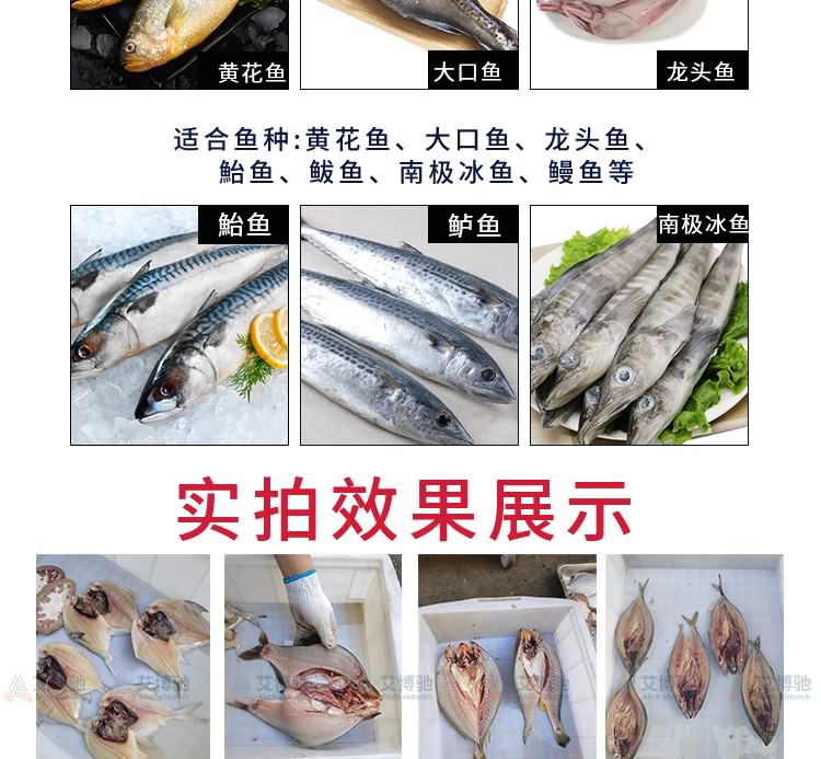 艾博馳ABCH-KP28小型二枚開片殺魚機5